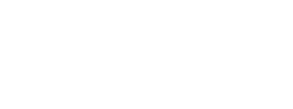 ThrillFleet