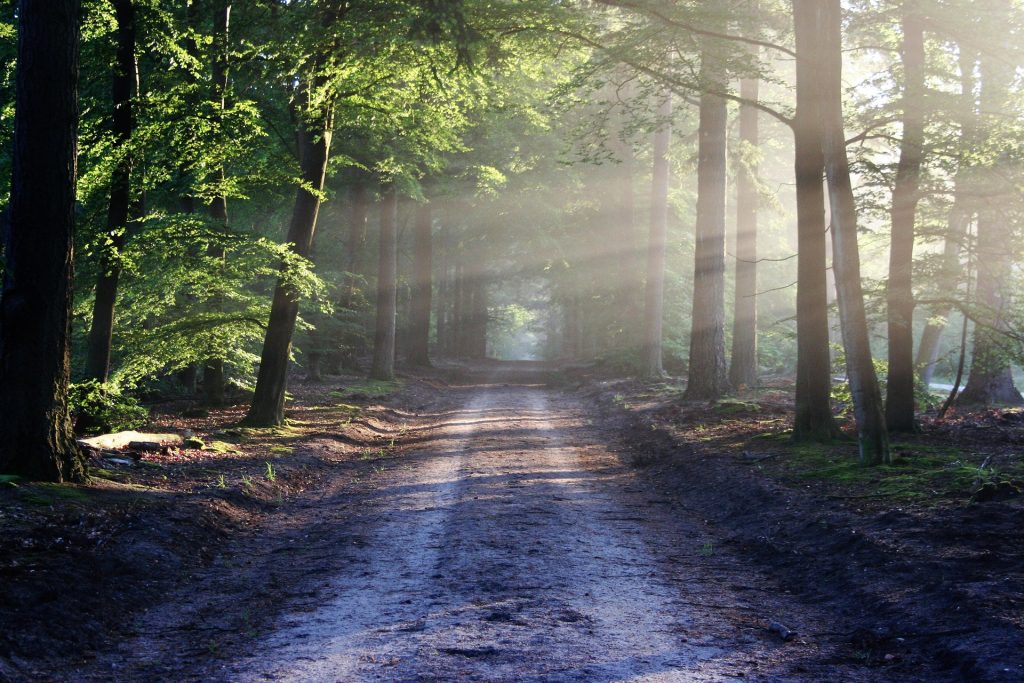 test - Private Land Access