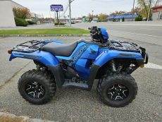 Honda FourTrax Rubicon DCT Deluxe (2023)