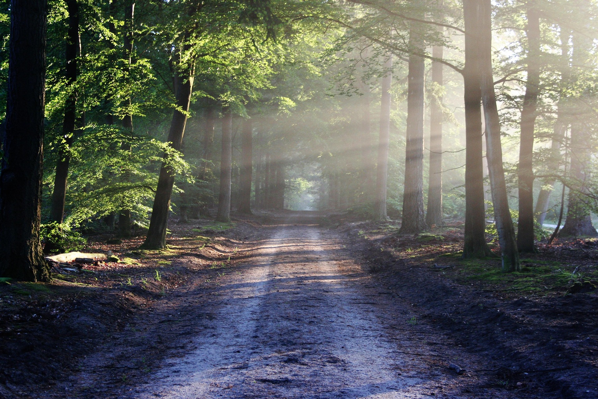 Justin Backroads