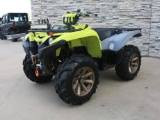 Yamaha grizzly (2022)